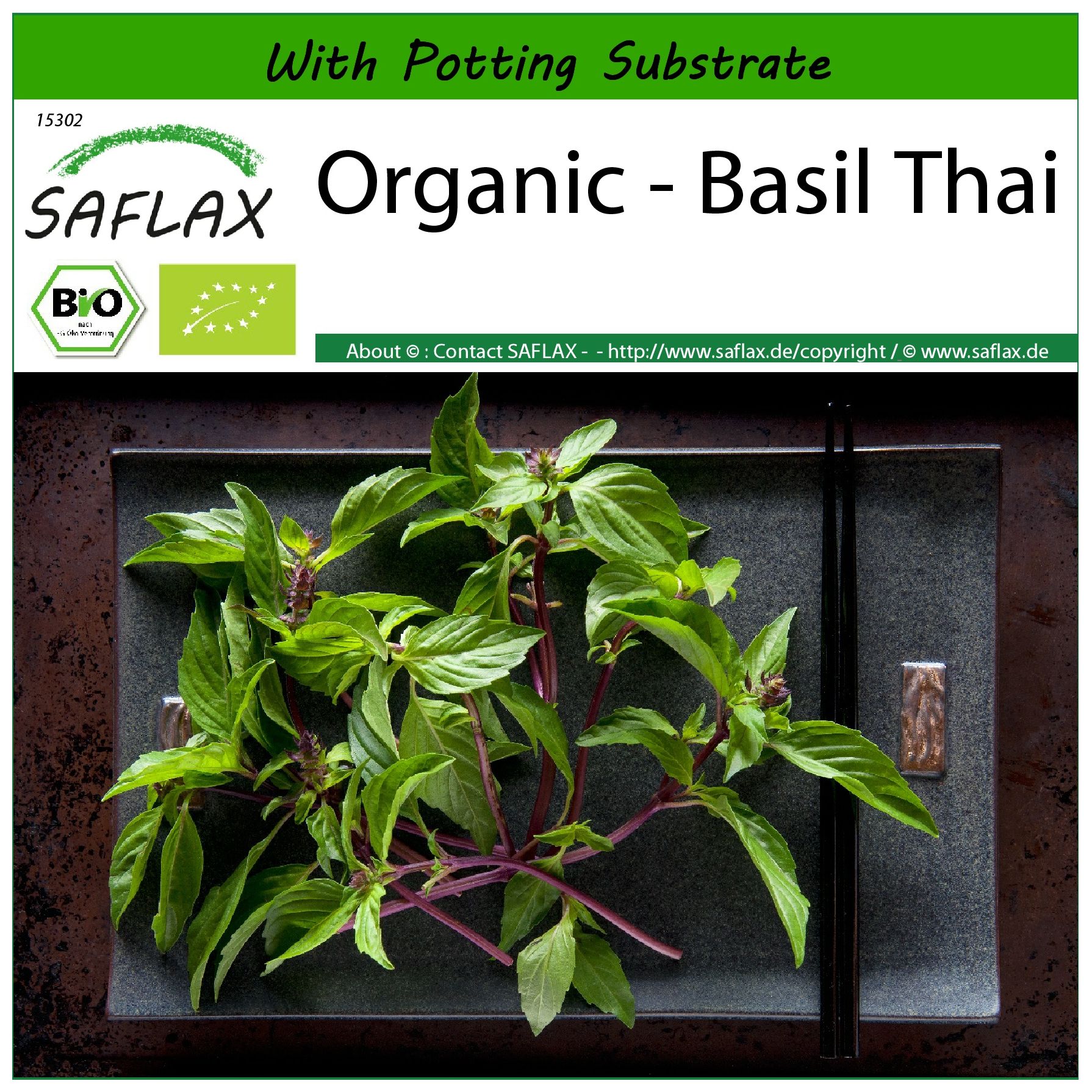 SAFLAX - Organic - Basil Thai - 250 seeds - With soil - Ocimum