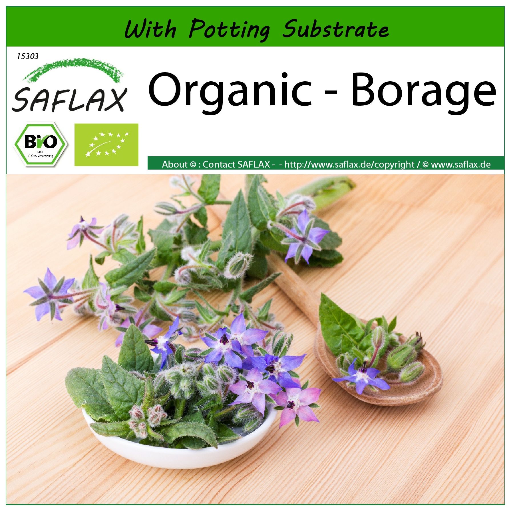 SAFLAX - Organic - Borage - 40 seeds - With soil - Borago