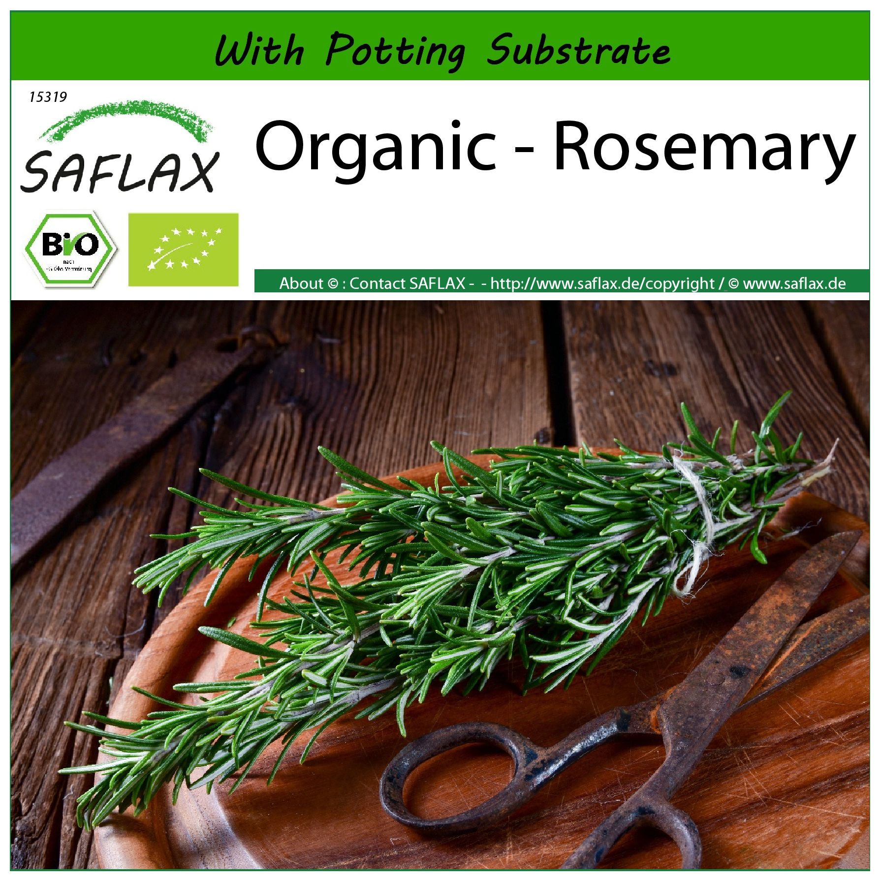 SAFLAX - Organic - Rosemary - 40 seeds - With soil - Rosmarinus