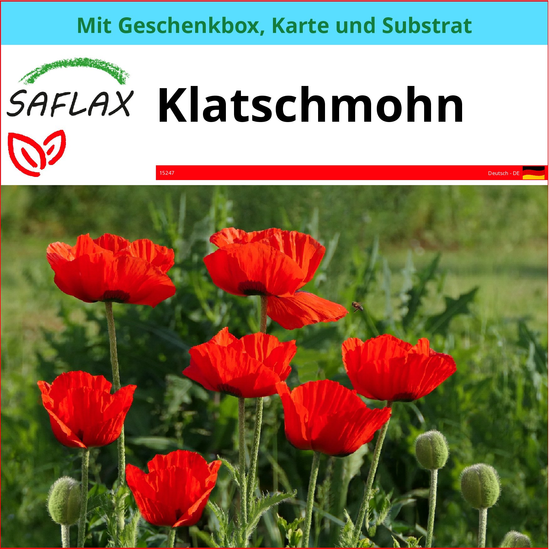 SAFLAX Geschenk Set - Klatschmohn - Papaver - 27000 Samen