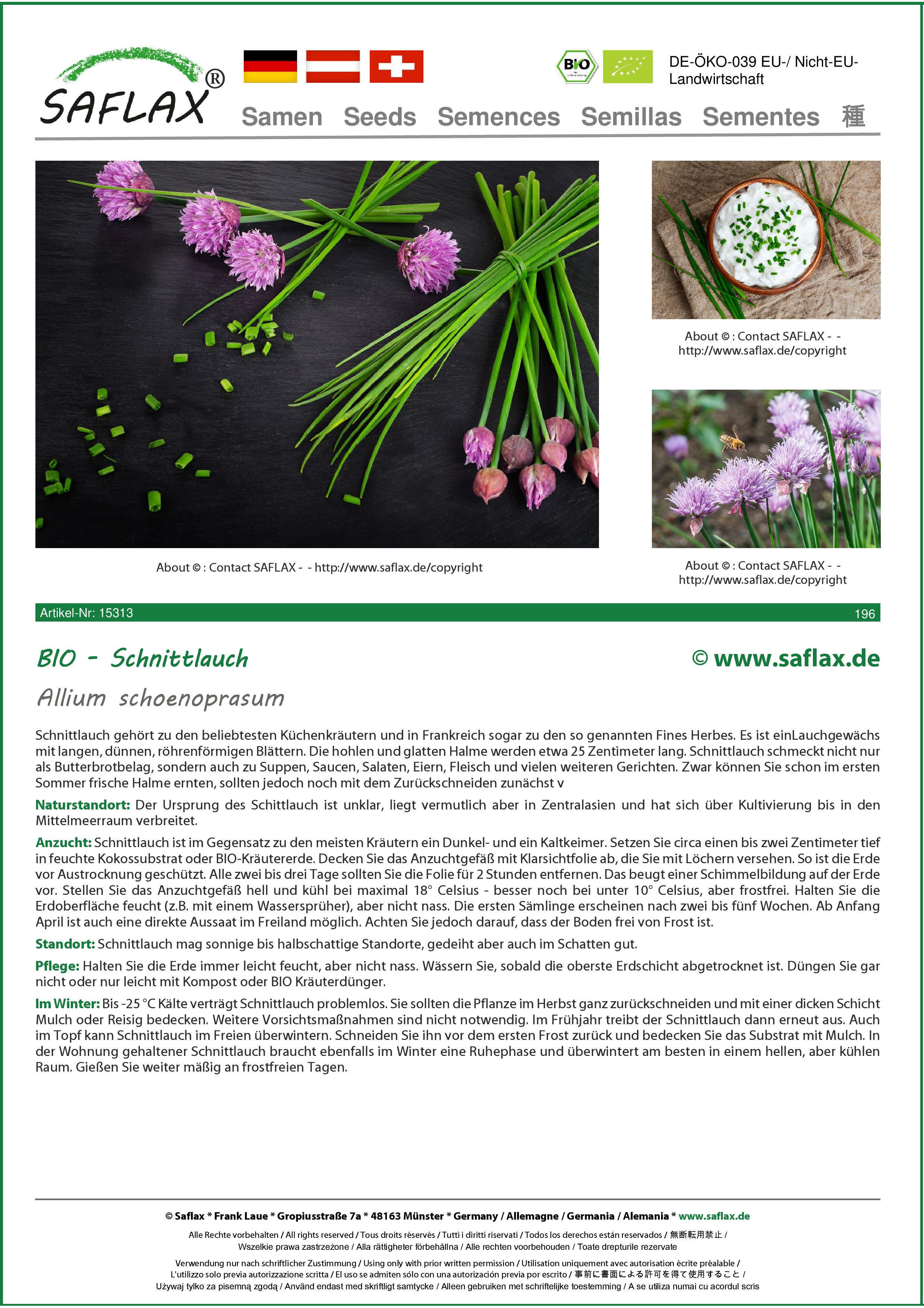 Allium schoenoprasum SAFLAX 250 Samen Schnittlauch BIO 